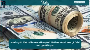 تباين في سعر الدولار بين البنك الأهلي وبنك مصر مقابل بنوك أخرى.. تعرف على التفاصيل الآن